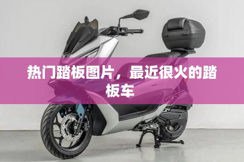 熱門踏板圖片，最近很火的踏板車 