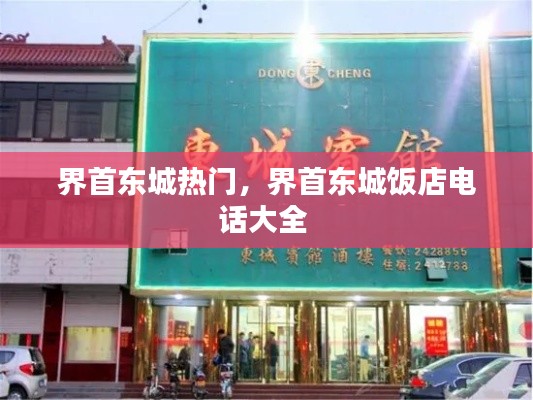 界首東城熱門，界首東城飯店電話大全 