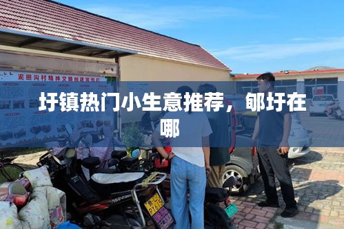 圩鎮(zhèn)熱門(mén)小生意推薦，郇圩在哪 