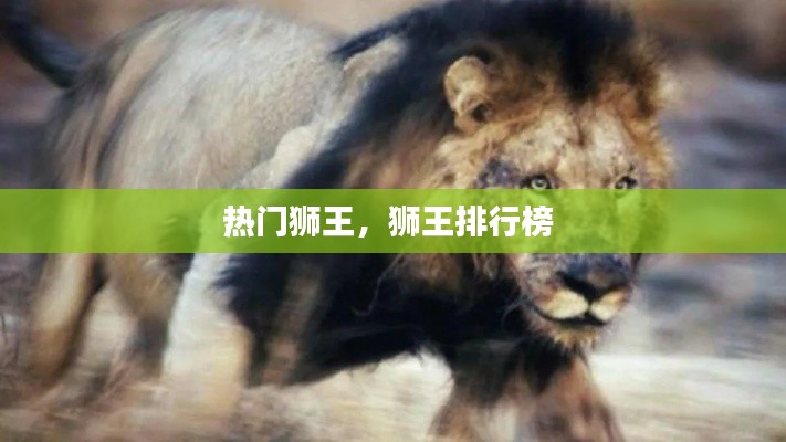 熱門獅王，獅王排行榜 
