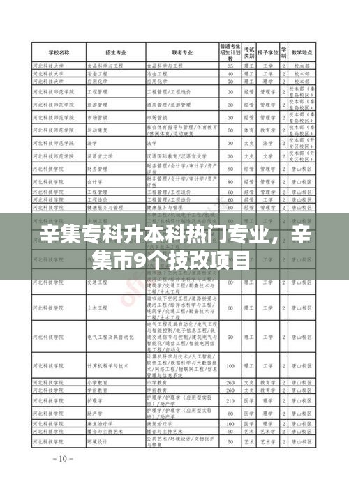 辛集?？粕究茻衢T專業(yè)，辛集市9個技改項目 
