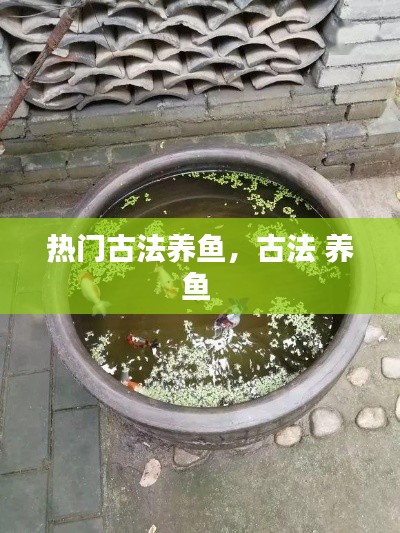熱門古法養(yǎng)魚(yú)，古法 養(yǎng)魚(yú) 
