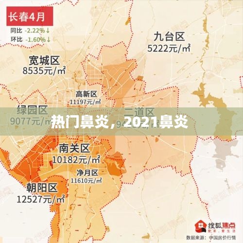 熱門鼻炎，2021鼻炎 