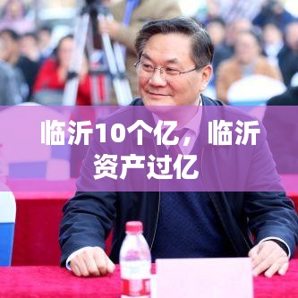 臨沂10個億，臨沂資產(chǎn)過億 