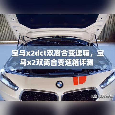 踴貴屨賤 第2頁