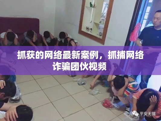 抓獲的網(wǎng)絡(luò)最新案例，抓捕網(wǎng)絡(luò)詐騙團(tuán)伙視頻 