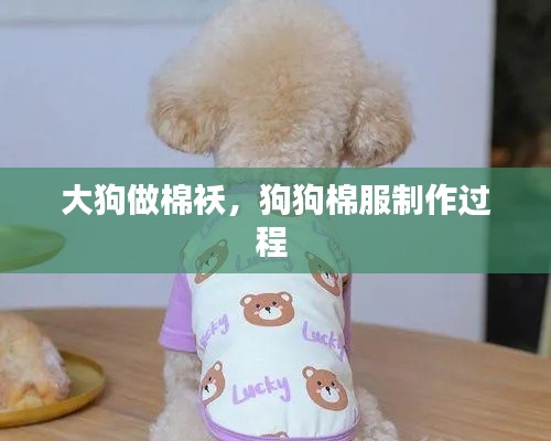 大狗做棉襖，狗狗棉服制作過程 