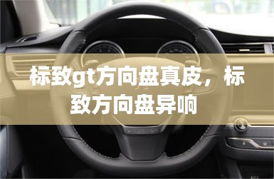 標致gt方向盤真皮，標致方向盤異響 