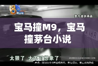 寶馬撞M9，寶馬撞茅臺小說 
