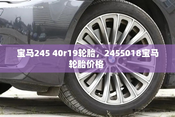寶馬245 40r19輪胎，2455018寶馬輪胎價(jià)格 