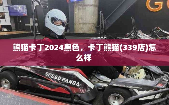 熊貓卡丁2024黑色，卡丁熊貓(339店)怎么樣 