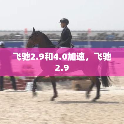 飛馳2.9和4.0加速，飛馳 2.9 