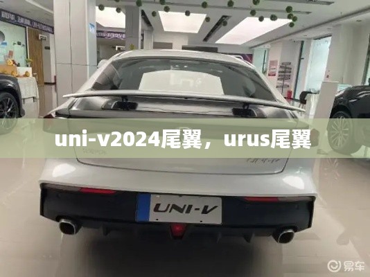 uni-v2024尾翼，urus尾翼 