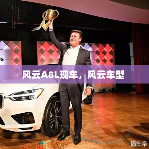 風(fēng)云A8L現(xiàn)車，風(fēng)云車型 