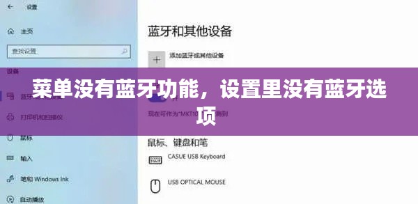 菜單沒有藍(lán)牙功能，設(shè)置里沒有藍(lán)牙選項(xiàng) 