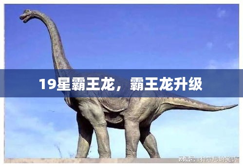 19星霸王龍，霸王龍升級 