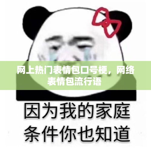 網(wǎng)上熱門表情包口號梗，網(wǎng)絡(luò)表情包流行語 