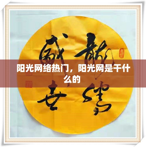 陽光網(wǎng)絡(luò)熱門，陽光網(wǎng)是干什么的 