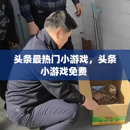 頭條最熱門(mén)小游戲，頭條小游戲免費(fèi) 