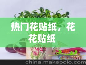 熱門花貼紙，花花貼紙 