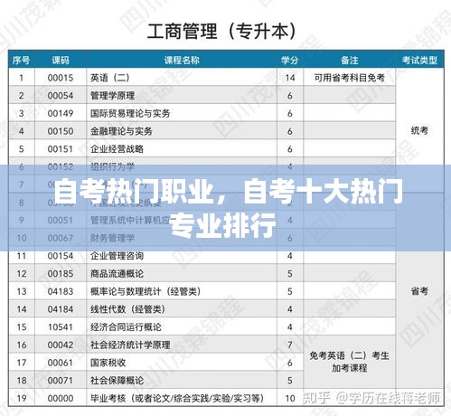 自考熱門職業(yè)，自考十大熱門專業(yè)排行 