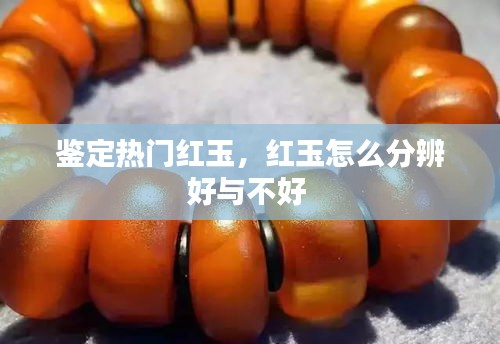鑒定熱門紅玉，紅玉怎么分辨好與不好 