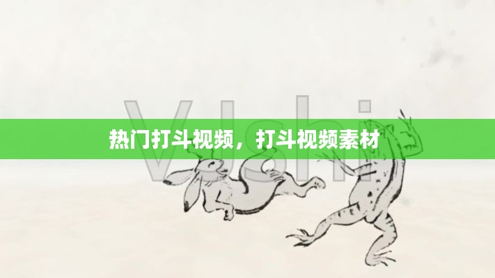 熱門打斗視頻，打斗視頻素材 