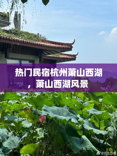 熱門民宿杭州蕭山西湖，蕭山西湖風(fēng)景 