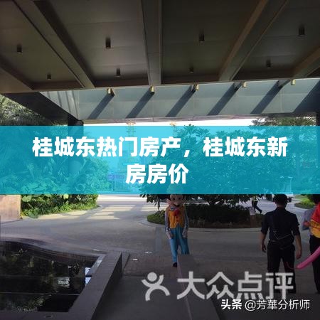 桂城東熱門房產(chǎn)，桂城東新房房價 