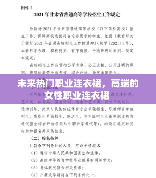 未來熱門職業(yè)連衣裙，高端的女性職業(yè)連衣裙 