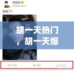 胡一天熱門，胡一天爆火 