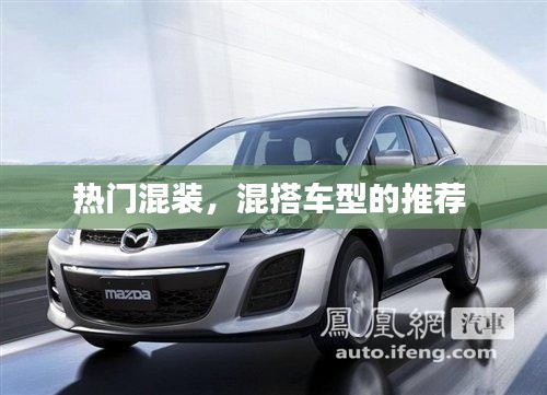 熱門混裝，混搭車型的推薦 