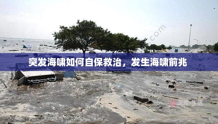 突發(fā)海嘯如何自保救治，發(fā)生海嘯前兆 