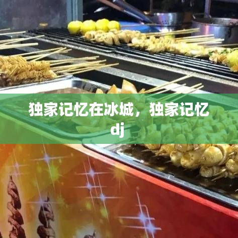 獨家記憶在冰城，獨家記憶dj 