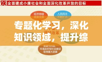 專題化學(xué)習(xí)，深化知識(shí)領(lǐng)域，提升綜合素質(zhì)，打造全方位人才