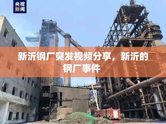 新沂鋼廠突發(fā)視頻分享，新沂的鋼廠事件 