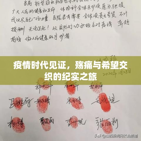 疫情時(shí)代見(jiàn)證，殤痛與希望交織的紀(jì)實(shí)之旅