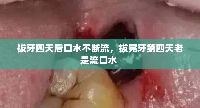 真獨(dú)簡貴 第2頁