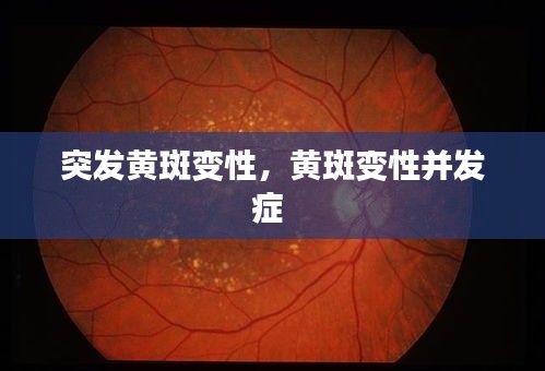 鳥吏鼈官 第2頁