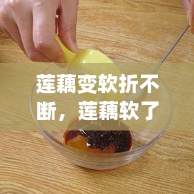 蓮藕變軟折不斷，蓮藕軟了是因?yàn)槭裁?