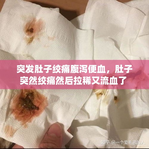 突發(fā)肚子絞痛腹瀉便血，肚子突然絞痛然后拉稀又流血了 