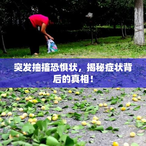 突發(fā)抽搐恐懼狀，揭秘癥狀背后的真相！