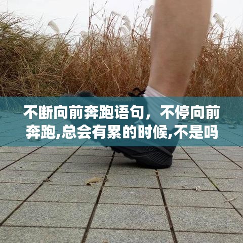 不斷向前奔跑語句，不停向前奔跑,總會(huì)有累的時(shí)候,不是嗎? 