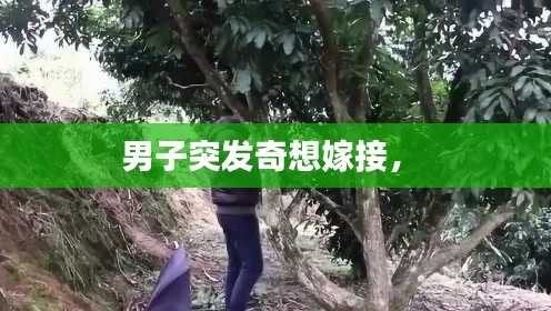 男子突發(fā)奇想嫁接， 