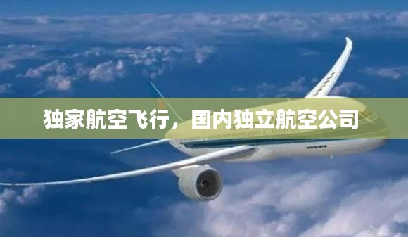 獨家航空飛行，國內獨立航空公司 