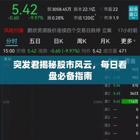 突發(fā)君揭秘股市風(fēng)云，每日看盤(pán)必備指南