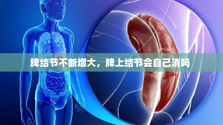 脾結(jié)節(jié)不斷增大，脾上結(jié)節(jié)會(huì)自己消嗎 