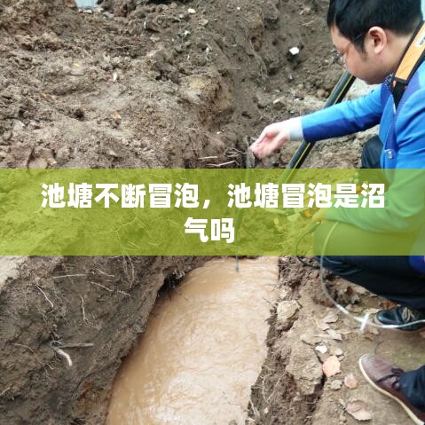 池塘不斷冒泡，池塘冒泡是沼氣嗎 