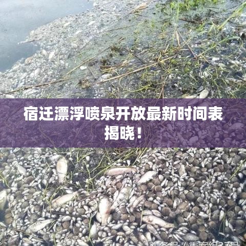 宿遷漂浮噴泉開放最新時間表揭曉！