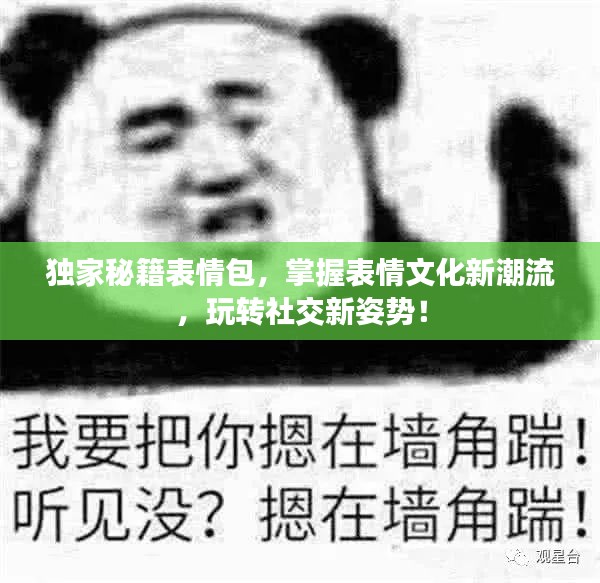 獨(dú)家秘籍表情包，掌握表情文化新潮流，玩轉(zhuǎn)社交新姿勢(shì)！
